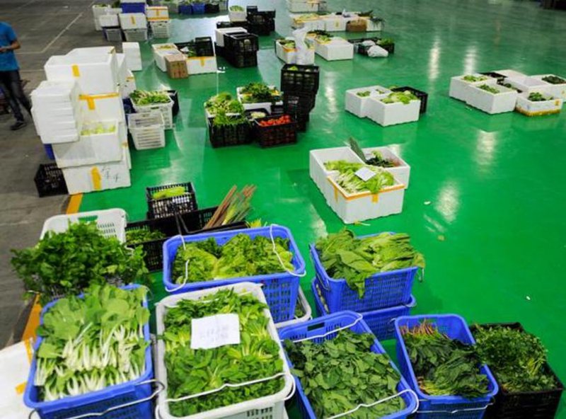 蔬菜配送:便捷生活的新选择
